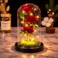Rose Éternelle Illuminée sous Cloche